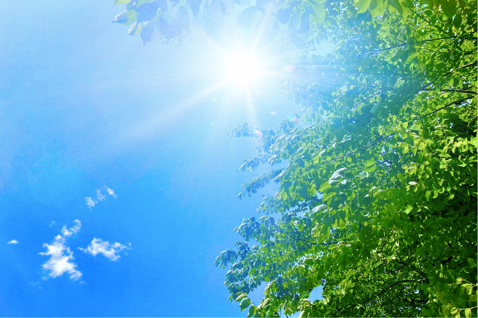 太陽光発電の魅力