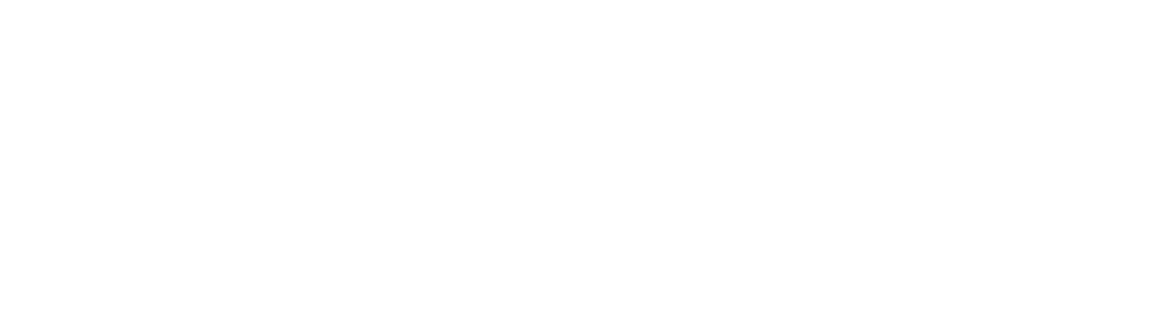 大規模木造建築 ウッドビスタ