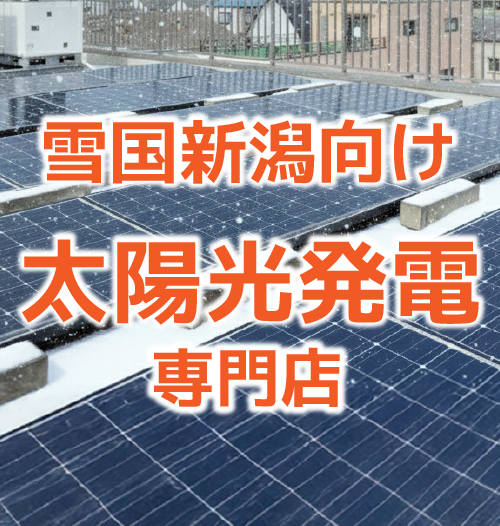 自家消費型太陽光システム導入で電気代最大50%削減